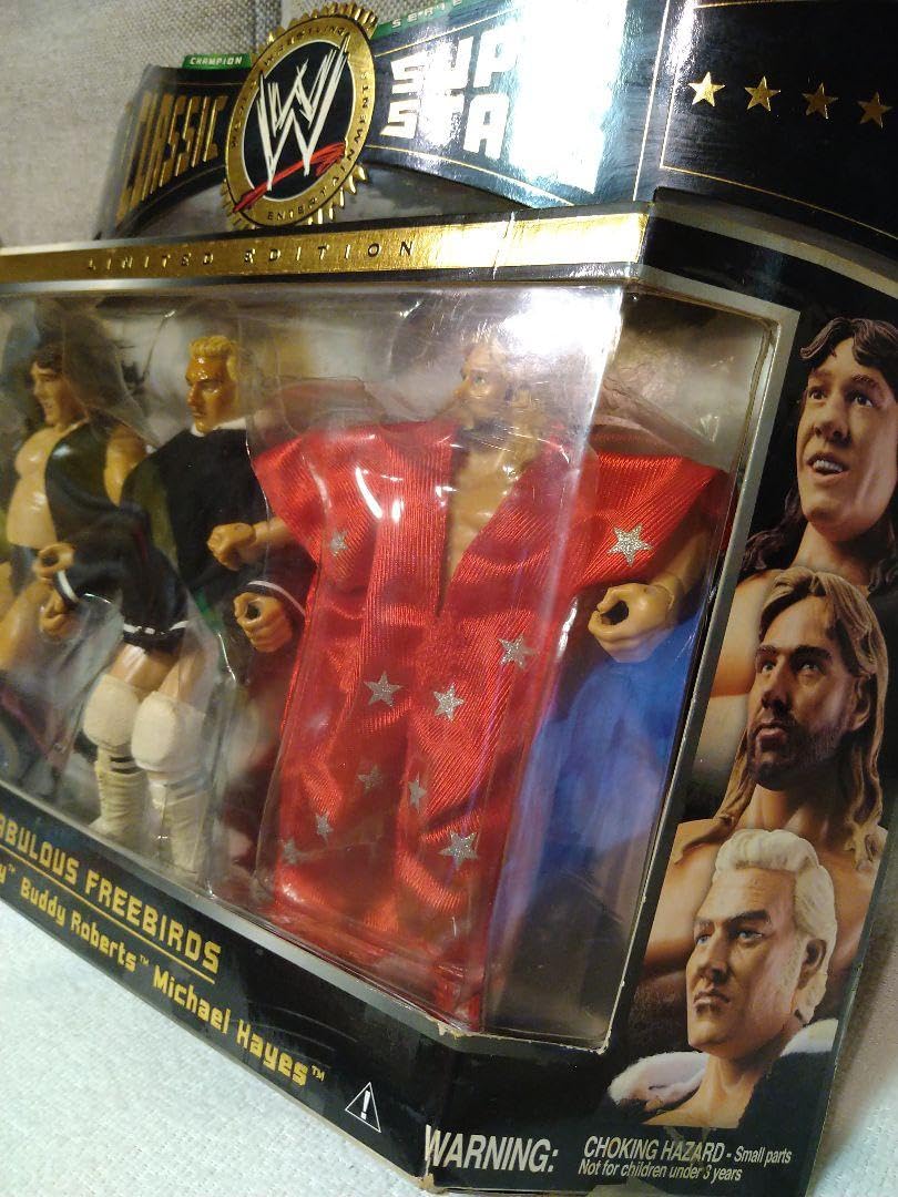 開封品　貴重！WWE クラシック限定版！全日　テリー・ゴディ&マイケル・ヘイズ Amazon.co.jp: 開封品 貴重！ クラシック限定版！全日